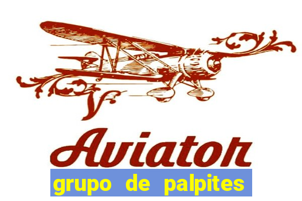 grupo de palpites de futebol whatsapp